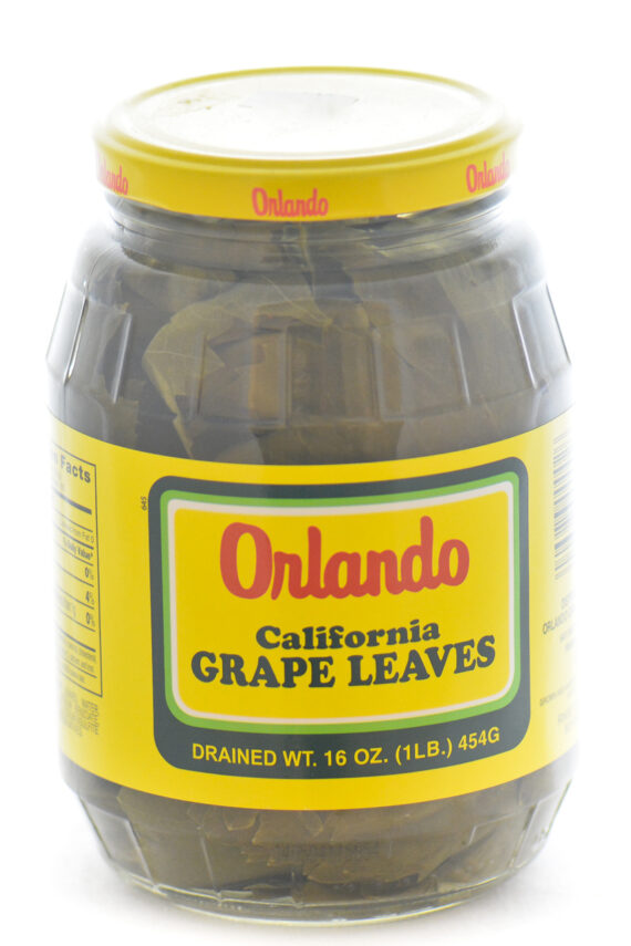 Orlando_Grape_Leaves__85932.jpg