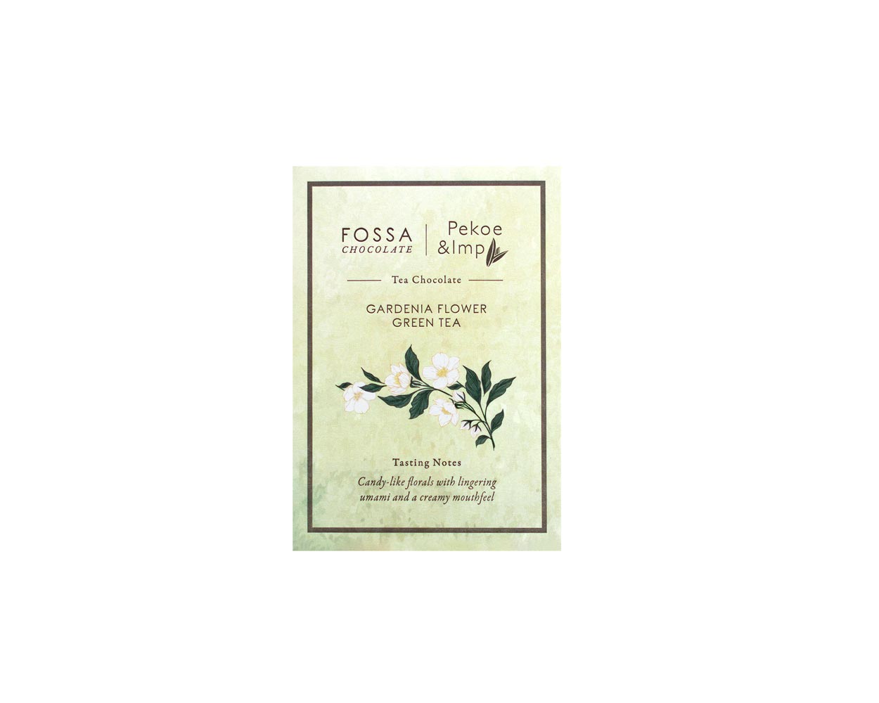 Fossa-Gardenia-Flower-Green-Tea-Chocolate-Front-White-BG-for-WEB