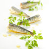 Les-Mouettes-d'Arvor-Sardines-Styled-For-WEB-(1)